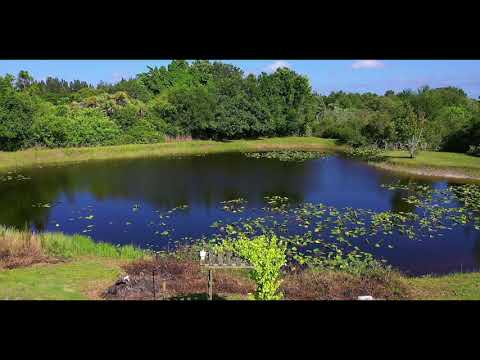 5801 Sabal Palm Ln, Punta Gorda, FL home video tour