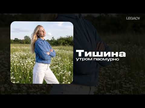 утром пасмурно — Тишина