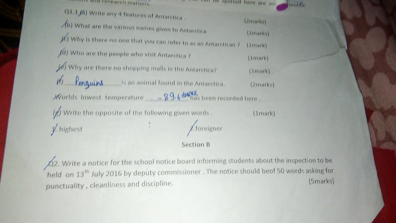 my achievements essay trips
