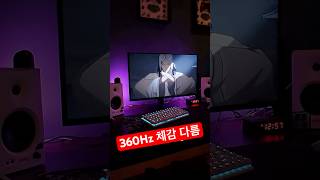 QHD 360Hz 제대로 써봤습니다