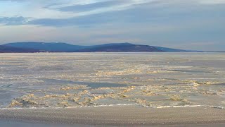 Амур, торосы и орлы / Николаевск-на-Амуре / Ноябрь - 2024