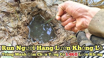 Câu lươn sông_Trúng mánh đậm chưa từng có 1.4KG lươn khủng_tập1000//Giant eel fishing