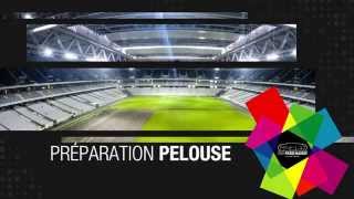 Un mois d'événements au Stade Pierre-Mauroy