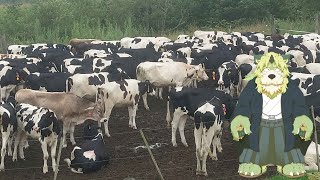 【定期配信】北海道の振り返りじゃ～【狛石シノ】