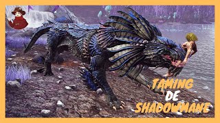 COMMENT CAPTURER FACILEMENT DES POISSONS ET TAMER UN SHADOWMANE SUR FJORDUR