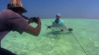 Giant Trevally - GT- tropical saltwater fly-fishing, 2018 - YouTube