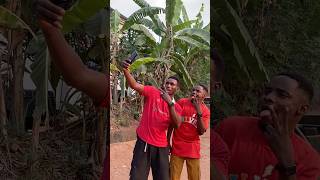 Forget The fyp shorts trending comedy funny seo