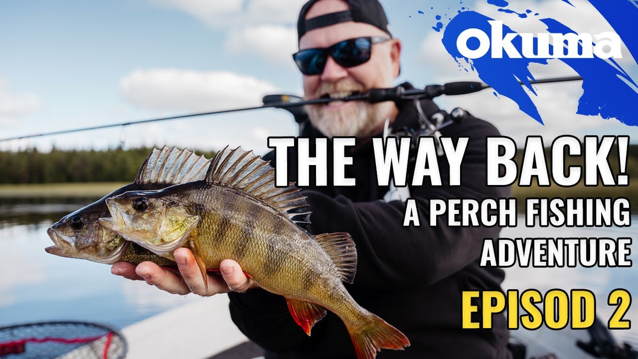 The way back - A perch fishing adventure [Episod 2]