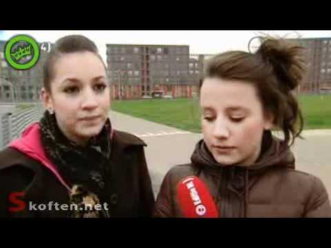 vmbo pownen