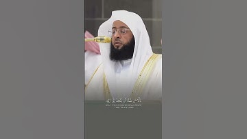 سورة الفرقان - القارىء بدر التركي