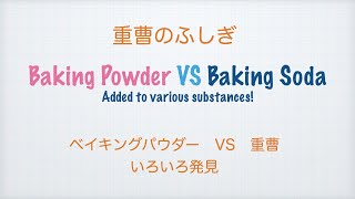 Baking Soda VS Baking Powder Experiment Part2 (+ various substances)//　重曹のふしぎ！いろいろ発見