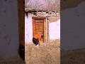 700 Year Old Mountain House | Unable to Live but Full of Memories