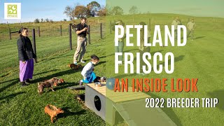 Petland Frisco 2022 Breeder Trip (Long Form)