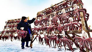 Как японцы ловят осьминогов, используя горшки и перерабатывая тысячи осьминогов в час на фабрике