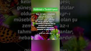 Evet, Bir Bahr - I Müsebbih Olan Şu Semavatın Kelimat - I Tesbihiyesi; Güneşler, Aylar, Yıldızlar