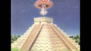 (03/11) 13th Floor Elevators - Roller Coaster (Live 1965/1966)