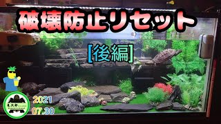 【ミシシッピニオイガメ】破壊防止リセット[後編]☝️