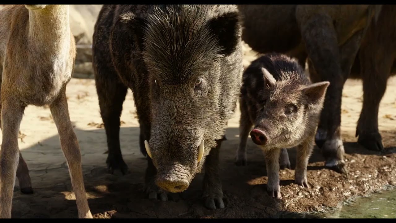 The Jungle Book | Water Truce (2) — Transcript