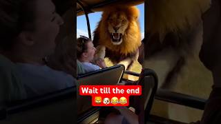 Lion Attacked Safari Tourists Wait Till The End