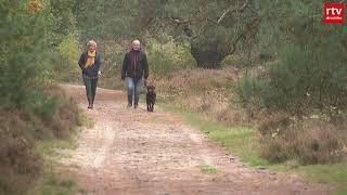 Laatste Waarschuwing Voor Hondenbezitters Bij Boswachterij Ruinen