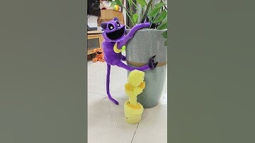 catnap do you want to sleep...