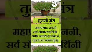 तलस पर जल चढत समय य मतर अवशय बल तलस ज क चमतकर मतरतलस पजन