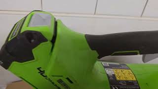 eBay Greenleaf Blower Sale