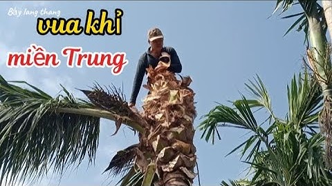 Vua khỉ miền Trung cưa cây dừa đổ trên mái nhà -@anhbayxunau