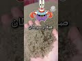 صغار السلطعون 
