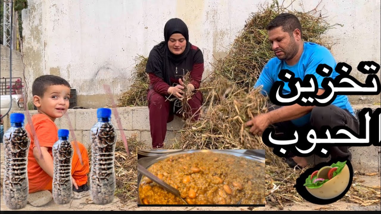 ريف لبنان 🇱🇧 طريقة تخزين حبوب الفاصولياء تدوم لأعوام وتحضير أطيب مجدرة 🤗طعم ولا أروع 😍