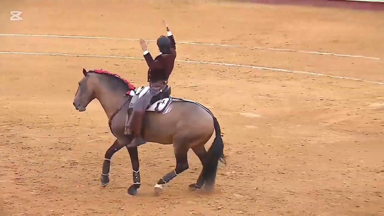 Diego Ventura & Bronce en Almería.