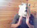 便秘にはクラシック音楽が効く!