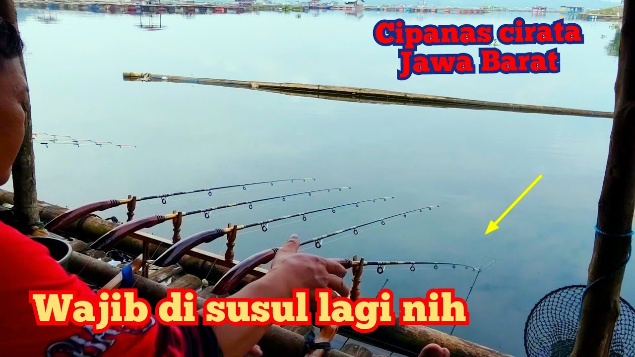 Jangan salah pasang umpan,,!! Kenali dulu tanda gelembung ikan di air, #mancingliar