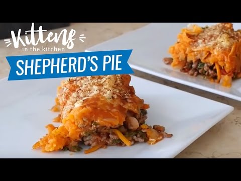 ashys-healthy-shepherd's-pie-recipe-|-kittens-kitchen