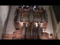 Ref:7ecbinq4mjM Orgue de la cath�drale notre-dame et saint-privat de mende