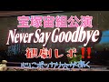 宙組公演「Never Say Goodbye」観劇レポ‼️心にポッカリ穴があく