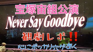 宙組公演「Never Say Goodbye」観劇レポ‼️心にポッカリ穴があく