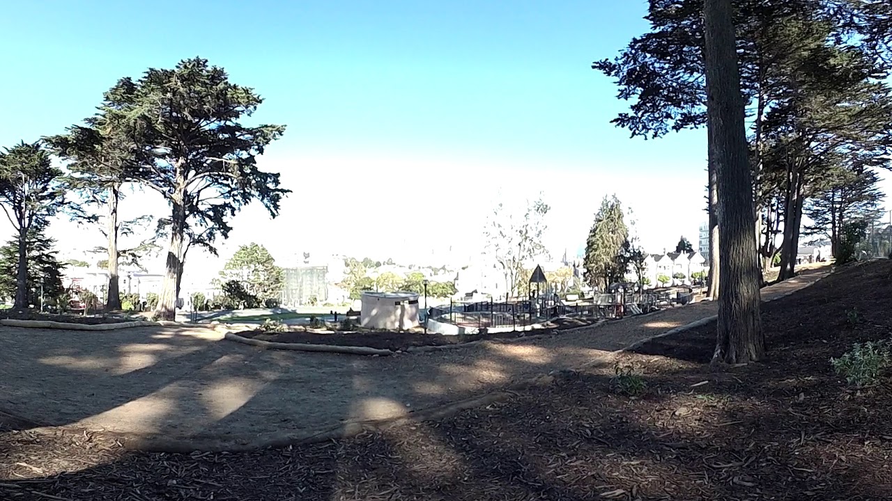 4K 360 Amazing Virtual Sightseeing, Inside Alamo Square Park, Center of San Francisco, California