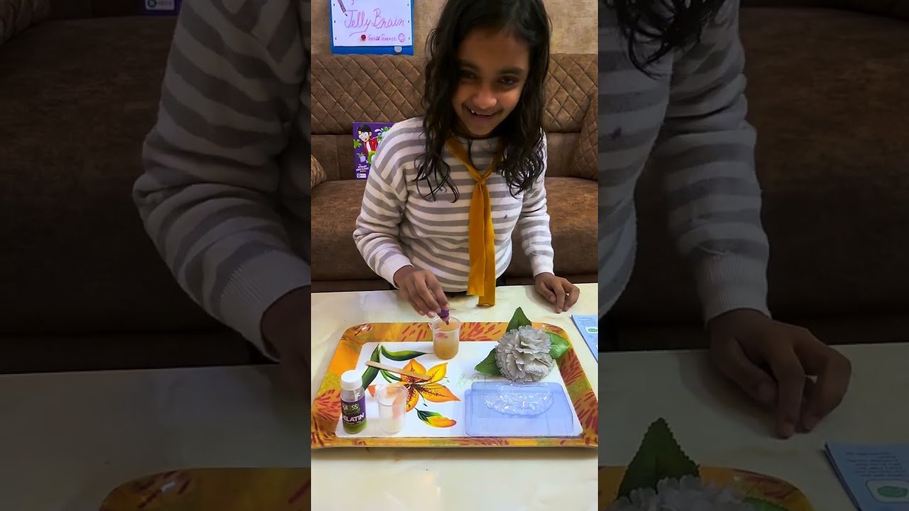 Gross Science kit# Activity II# Model of Brain