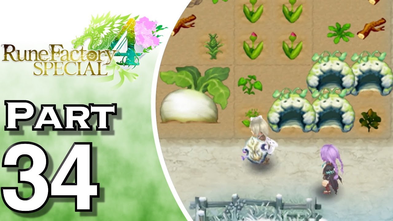 rune factory 4 shield flower rune factory 4 shield flower