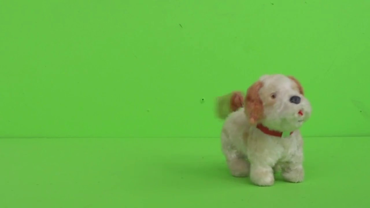 DOG W SPINNING TAIL, ED'S WIND UP TOYSshorts YouTube