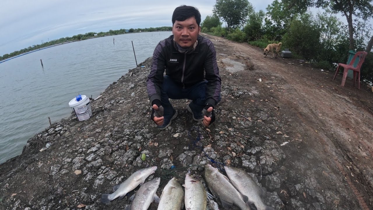 ep.28ตกกระพงบ่อลุงดำหลังจากห่างหายไปนาน แมตนี้ตกปลาแพงอีกแล้ว