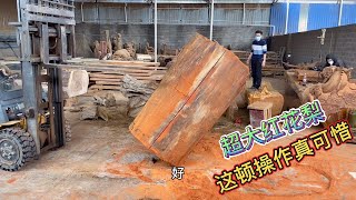 富贵险中求两个人都抱不住的百年红花梨砸开一看拍手叫好。#根雕