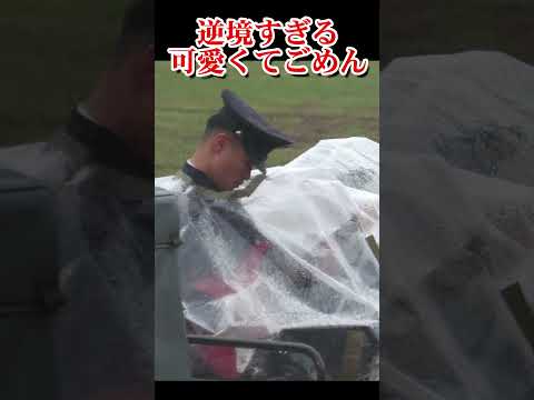 可愛くてごめんならぬ土砂降りでごめん…大変すぎる大雨での演奏 It's too hard to perform in a downpour【フルバージョン見てね】