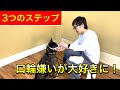 【動画解説】犬の口輪の付け方〜口輪が嫌いを好きに変える３ステップを分かりやすくご紹介！