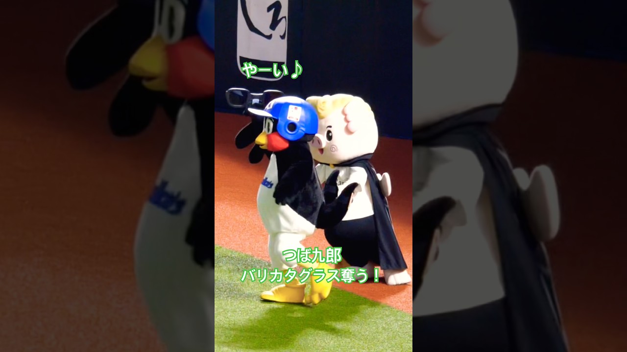 つば九郎　バリカタくんのサングラスを奪っちゃう！？ #swallows #つば九郎 #バリカタくん #交流戦 #ヤクルトスワローズ