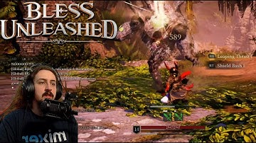Crusader Overview of Lionheart Blessing | Bless Unleashed Full Release