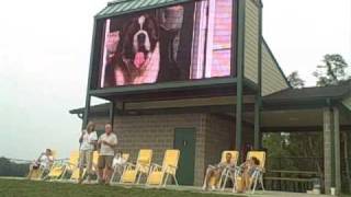 Wags Park Unleashed