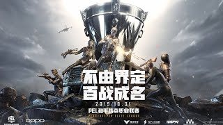 PEL GRAND FINAL DAY 2| CHINESE PUBG MOBILE TOURNAMENT