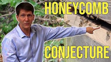 Why do Bees build Hexagons? Honeycomb Conjecture explained by Thomas Hales